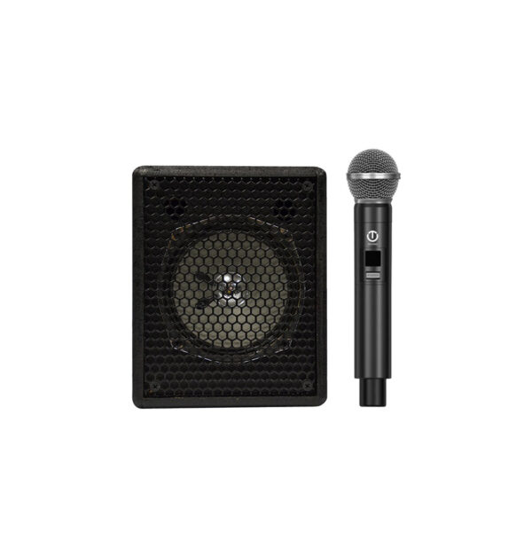 Technoava-echohamrah-TS60PTUR6R62-withmic اكو همراه مينی 5 اينچ بيسيم باميكروفن تكنوآوا TECHNOAVA TS60PTUR6
